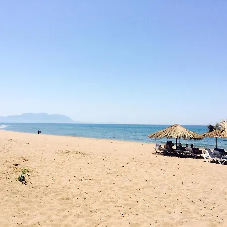 Near Olympia *