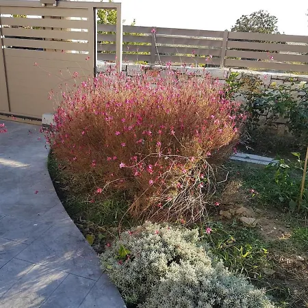 Apartman Near Olympia *